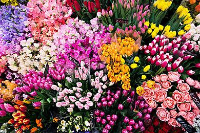 育碧《星球大战：法外狂徒》被曝使用机器人刷热度