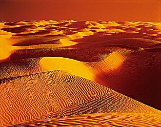 赛车模拟游戏《极速。真拟》上线Steam 12月16日发售